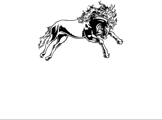Arsenal Média